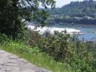 thumbs/Willamette Falls Clackamas OR.jpg